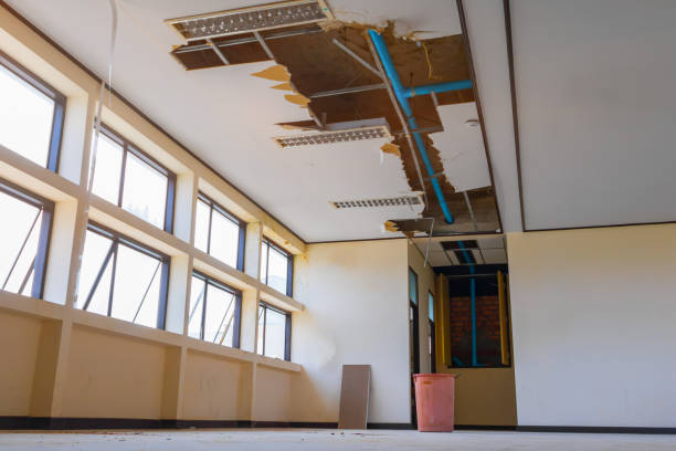 Best Flooded house restoration  in North Lynnwood, WA