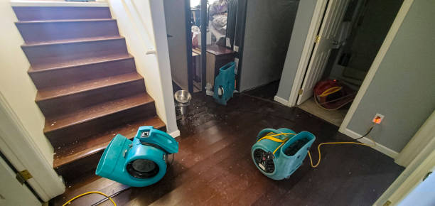 Best Sewage cleanup and water damage restoration  in North Lynnwood, WA