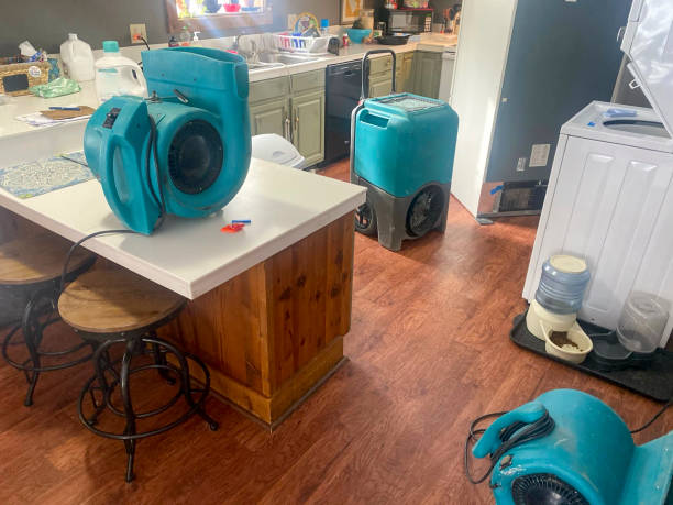 Best Water damage cleanup near me  in North Lynnwood, WA