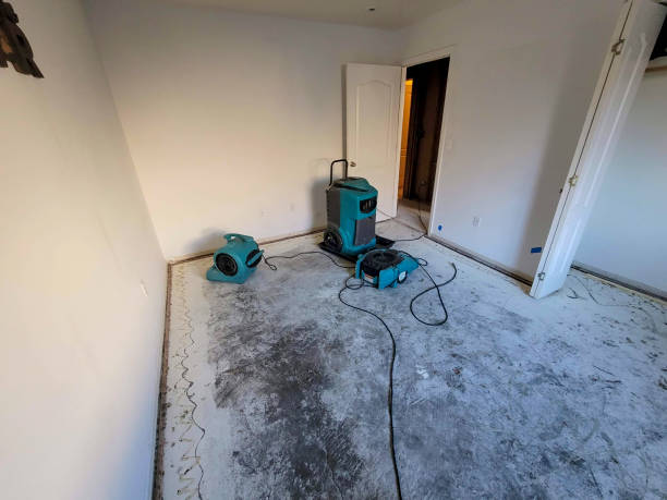Best Fire Damage Restoration  in North Lynnwood, WA