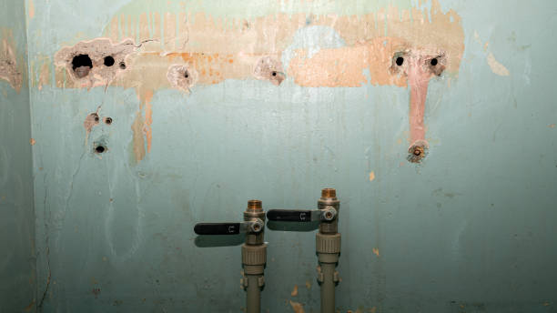 Best Water damage restoration process  in North Lynnwood, WA