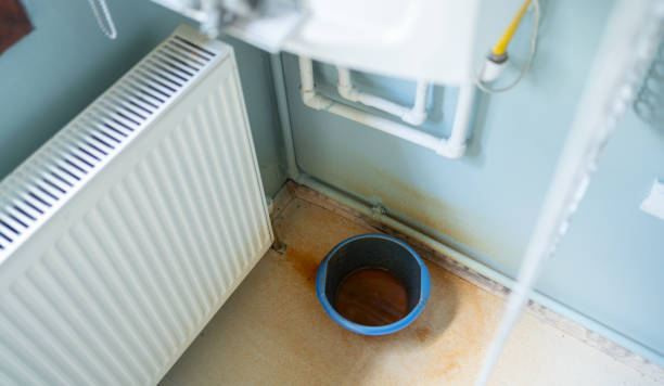  North Lynnwood, WA Water damage restoration Pros