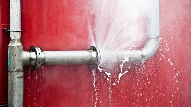Best Flood damage cleanup  in North Lynnwood, WA
